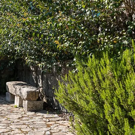Guestready - Sunset Boulevard Near Serralves Porto